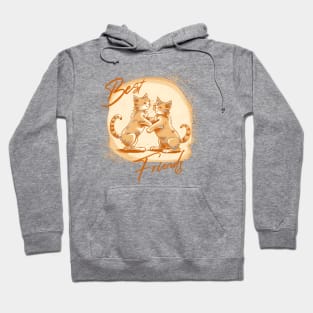 Best Cat Friend Hoodie